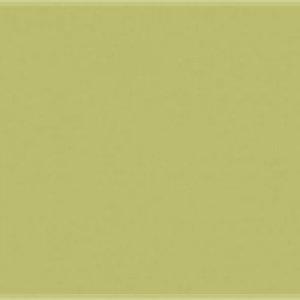 Paint and Paper Library Willow V Paint